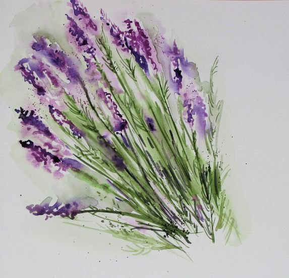 Lavender / Lavendel