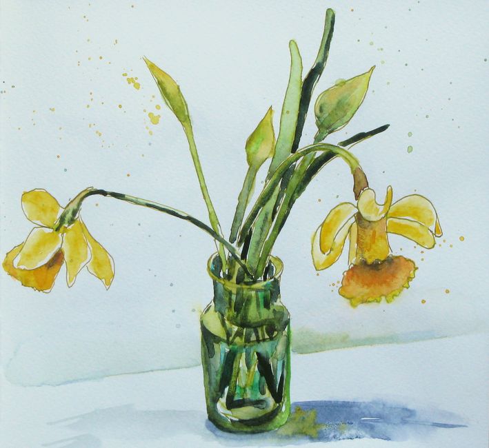 Daffodils / Narzissen